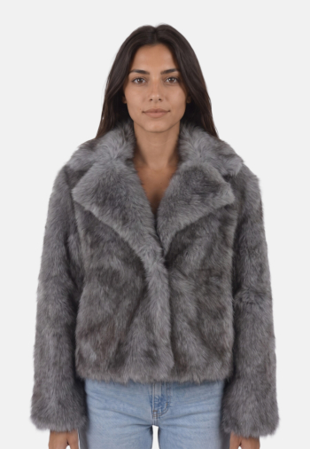 Blousons et vestes molly bracken ha119eh gris a