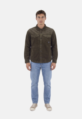 Chemise Le Temps Des Cerises rixo 9676 moss