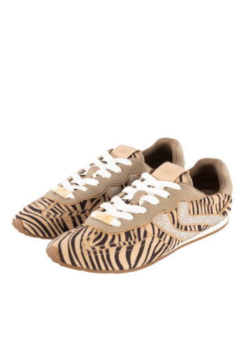Baskets basses steve madden abbi-smr taupe zebra
