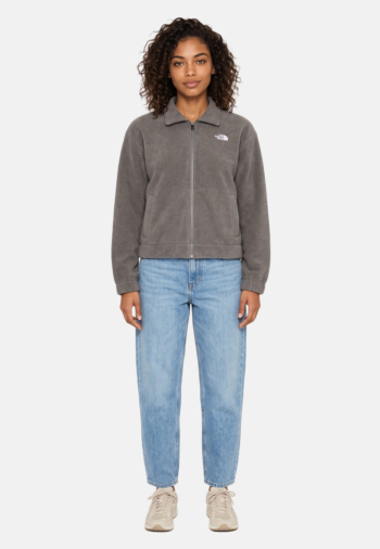 Blousons et vestes the north face w fleece collared 0v21 smokedperlbkhtr