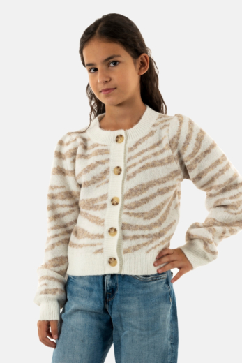 gilets cardigans Le Temps Des Cerises karel 8787 ivoire