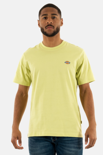 Tee shirt dickies mapleton h141 pale green