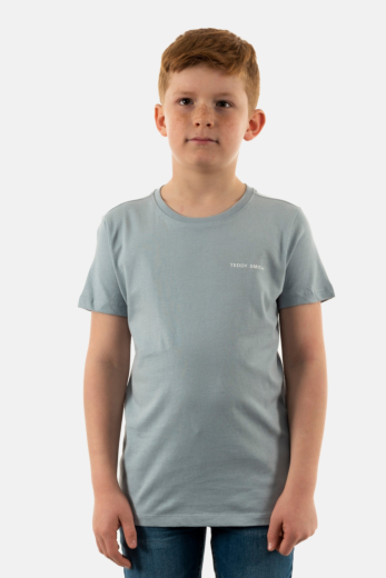 Tee shirts manches courtes teddy smith nark 311a bleached blue