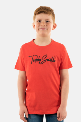 Tee shirts manches courtes teddy smith evan 707j rouge corail