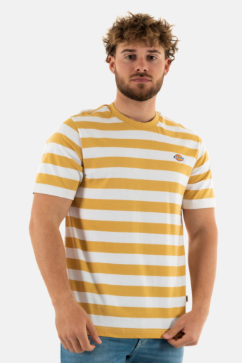 Tee shirt dickies rivergrove h131 fall leaf