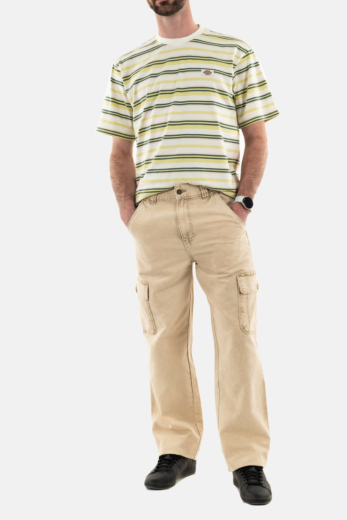 Pantalons dickies newington j491 dble dye/acd s