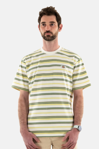 Tee shirt dickies glade spring j421 hrzntl strip