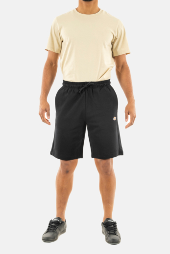 Shorts bermudas dickies mapleton blk1 black