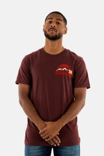 Tee shirt superdry great outdoor 2xy rum raisin brown