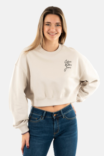 Sweat calvin klein jeans script institutional pdh moonbeam