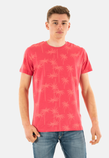 Tee shirt Le Temps Des Cerises cirel 4243 claret