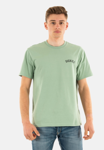 Tee shirt dickies snake k361 iceberg green
