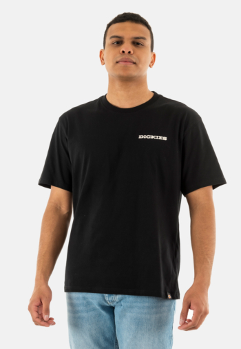 Tee shirt dickies graphic blk1 black