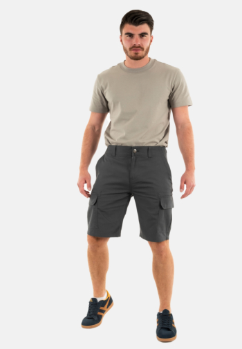 Shorts bermudas dickies millerville ch01 charcoal grey