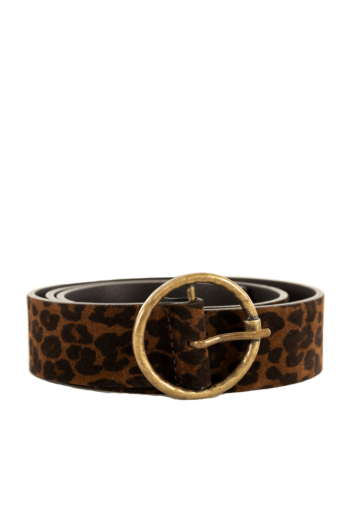Ceinture freeman t. porter angelisa leo 9062 f912 brown