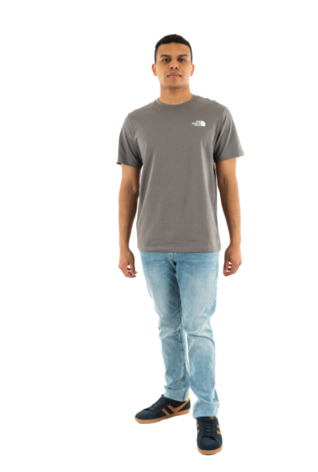 Tee shirt the north face redbox arx smoked pearl/he