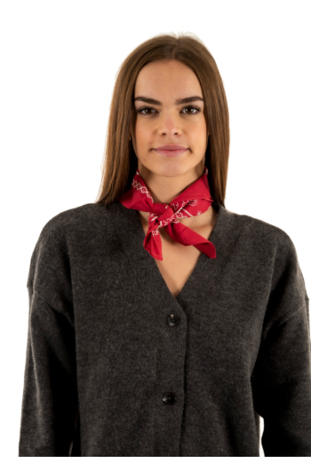 Foulards levi's® paisley bandana 0632