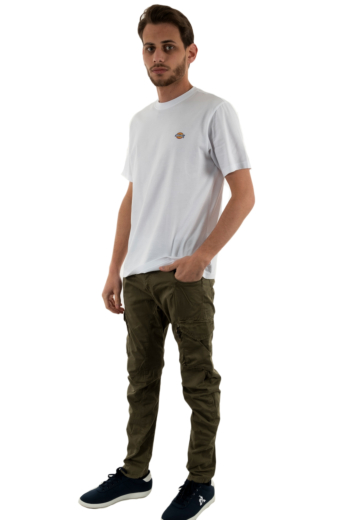 Tee shirt dickies mapleton whx1 white