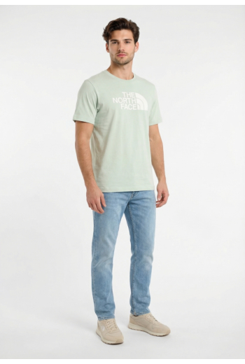 Tee shirt the north face evolution half dome regular g701 opal frost