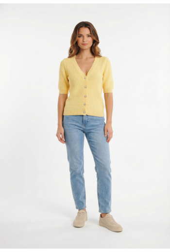 Gilets cardigans morgan 261-myrtile jaune pastel