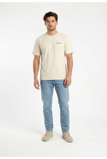 Tee shirt dickies fairlawn c481 egret